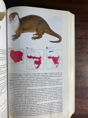 African Mammals (P15)