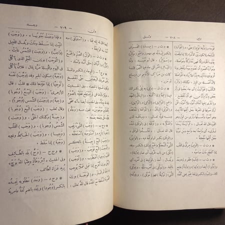 مختار الصحاح_محمود خاطر