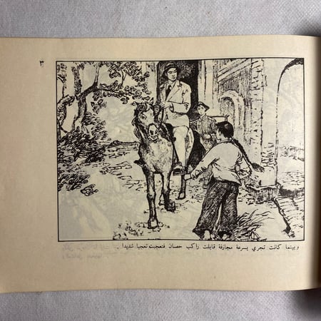 الفصيلة النسائية الحمراء D15