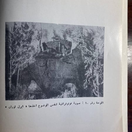 النقد الفنى -جيروم ستولنيتز