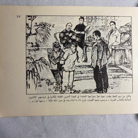 الفصيلة النسائية الحمراء D15