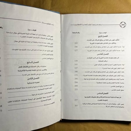 مراجعة انظمة المحاسبة الالكترونية -شحاتة السيد شحاتة-B5