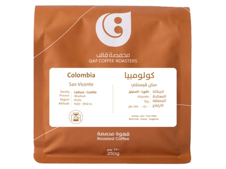 كولومبيا - سان فيسينتي