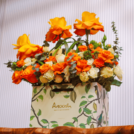 تنسيق انوش 6