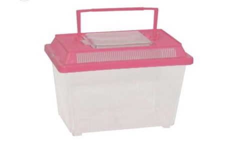 حوض سمك وسلاحف