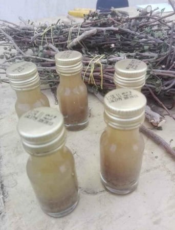 بيلسان المدينة ربع تولة