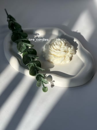 وردة الفاوانيا