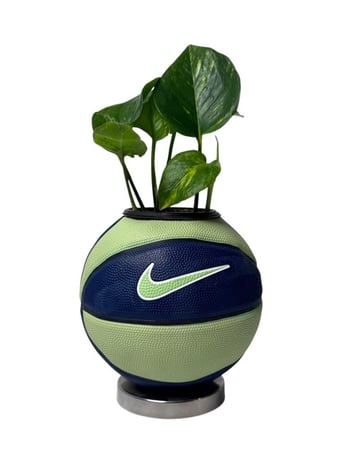 اخضر-كحلي كرة نايك سلة