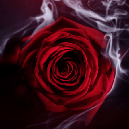 بولغاري لي جيمي غارانات  (الإصدار الجديد) 125 مل