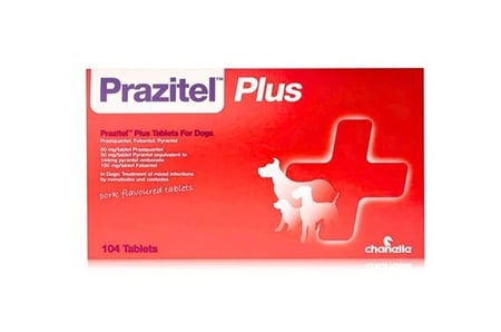 برازيتيل بلس أقراص بنكهة لعلاج العدوى بالديدان للكلاب