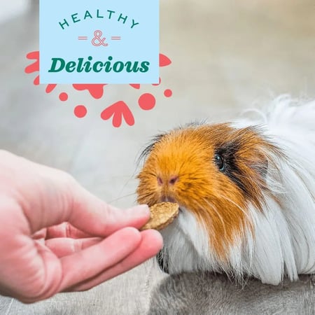 أوكسبو ناتشورال ساينس لصحة الجلد والفرو للحيوانات الصغيرة- 120 جرام