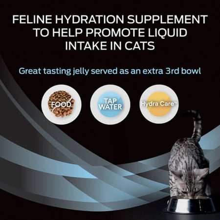 بيورينا برو بلان طعام رطب بيطري للترطيب للقطط- 12 حبة*75 جرام