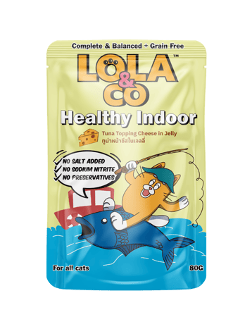 لولا اند كو هيلثي اندور طعام رطب بالتونة والجبن في الجيلي- 12 ظرف*80 جرام