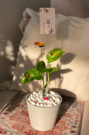 بوتس في حوض بمظهر جرانيت