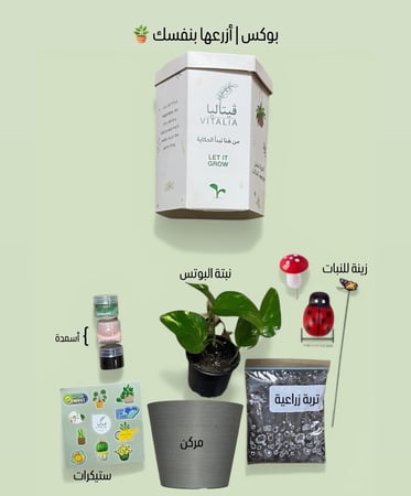 بوكس | ازرعها بنفسك