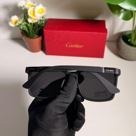 نظاره كارتير