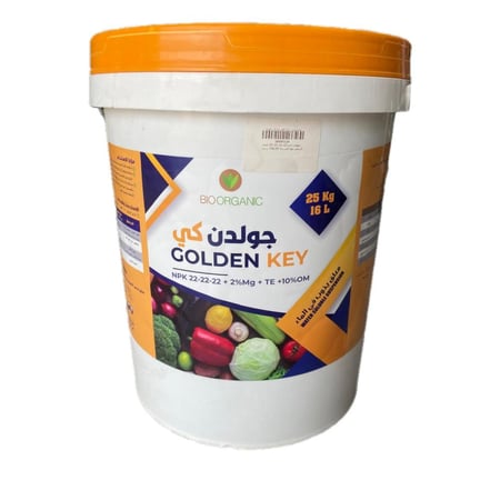 جولدن كي 22-22-22 / 25 كيلو