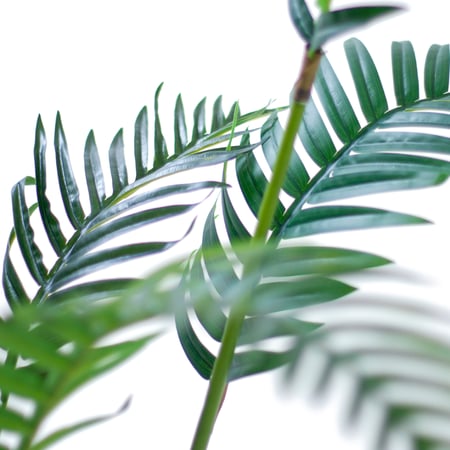 شجرة نخل أريكا صناعية 160 سم مع مركن بولي إيثيلين فخم