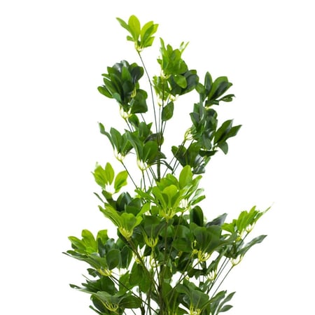 شجرة ديكورية صناعية شيلفيرا – أوراق واقعية، ارتفاع 170 و190 سم