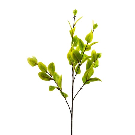 فرع شجرة صناعي فايكوس – أوراق واقعية، 85 سم