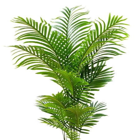 نخيل أريكا صناعي – تصميم واقعي مع أصيص أسود، 120 سم - متوفر 2 كثيف وخيف