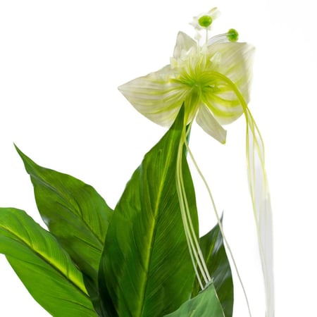 طقم 3 أشجار صناعية كالا الجمال الإفريقي – بدون حوض