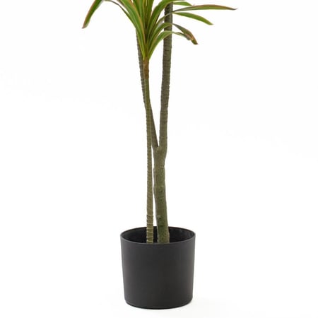 شجرة درسينا مرجنتا صناعية للديكور – أوراق كثيفة، ارتفاع 180 و190 سم