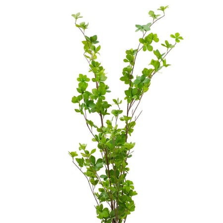 شجرة ديكورية صناعية ويندبيل – أوراق واقعية، ارتفاع 120 س