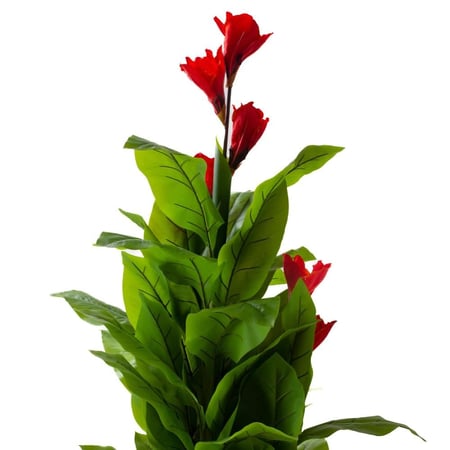نبتة قنا صناعية مع وردة حمراء – متوفرة بمقاسين 120 و180 سم