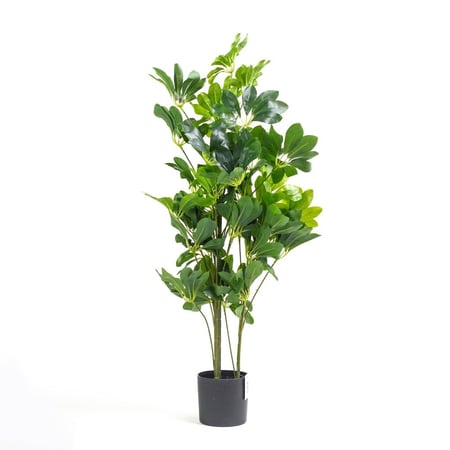 شجرة شفليرا صناعية – ارتفاع 90 سم لمسة خضراء  للديكور الداخلي