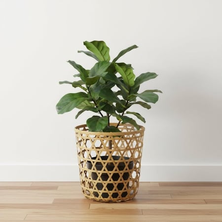 سلة خوص بوهيمي للزرع من الراتان الطبيعي – ديكور للنباتات | حديقة السوسن
