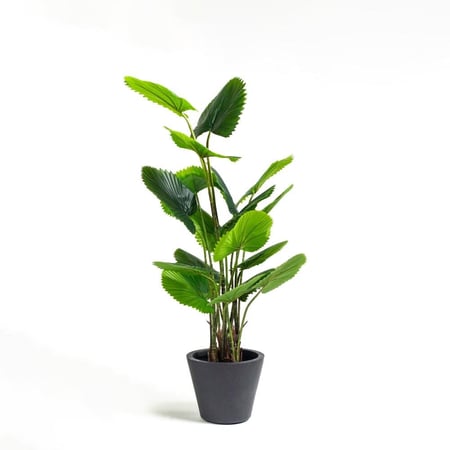 شجرة نخيل ليكولا صناعية من حديقة السوسن – للديكور الداخلي والخارجي