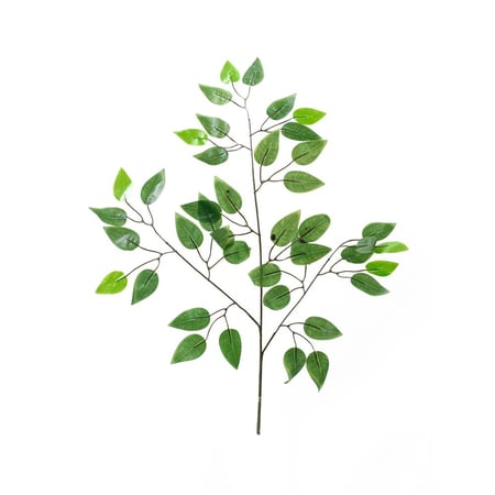 فرع فيكوس صناعي – أوراق خضراء طبيعية المظهر للزينة