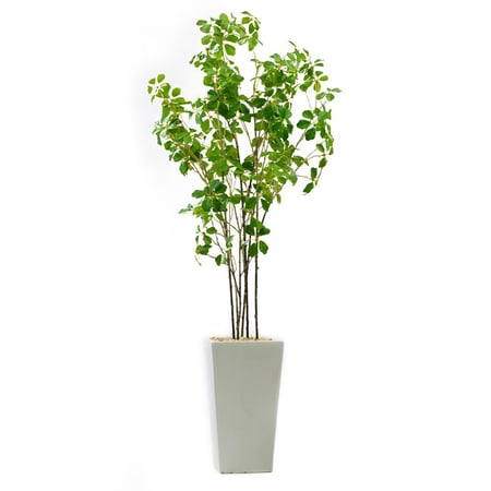 شجرة صناعية فيكوس – أوراق واقعية وحوض أبيض، من حديقة السوسن