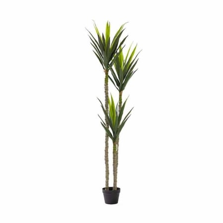 شجر ةنبات اليوكا الصناعية ثلاث جذوع 170 سم