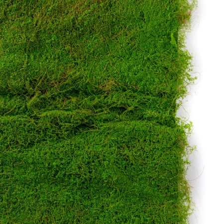 عشب صناعي جداري – مربع 100×100 سم (شكل طبيعي)