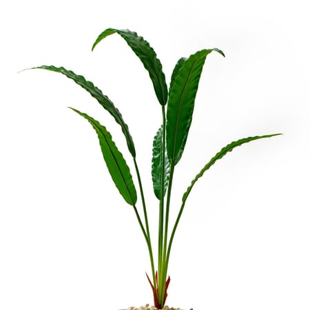 شجرة كالاتيا روفيباربا صناعية – مركن أبيض سيراميك، ارتفاع 90 سم