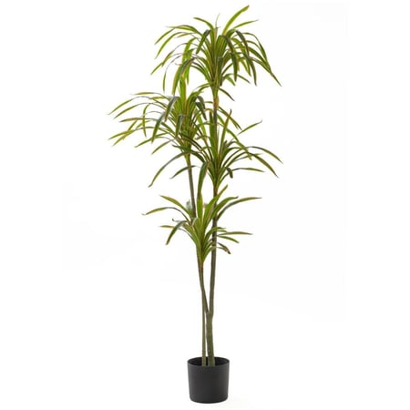 شجرة درسينا مرجنتا صناعية للديكور – أوراق كثيفة، ارتفاع 180 و190 سم