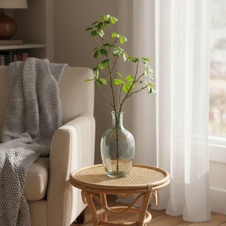 غصن من شجرة الوكاسيا للزينة والديكور المنزلي