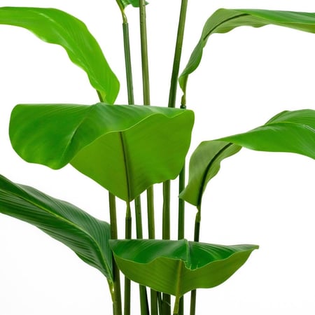 شجرة عصفور الجنة الصناعية – ارتفاع 150 سم – أوراق خضراء لديكور