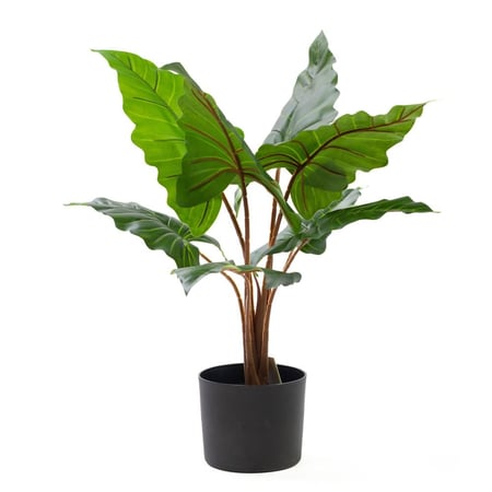 شجرة تارو ديكورية صناعية – أوراق خضراء طبيعية المظهر، 60 سم