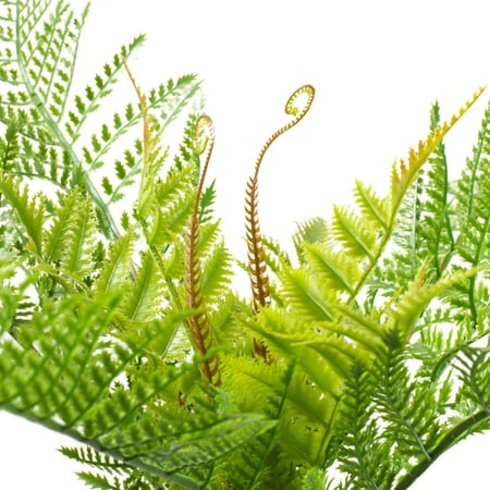 خضارات سرخس صناعي متدلي – أوراق كثيفة بطول 00 سم