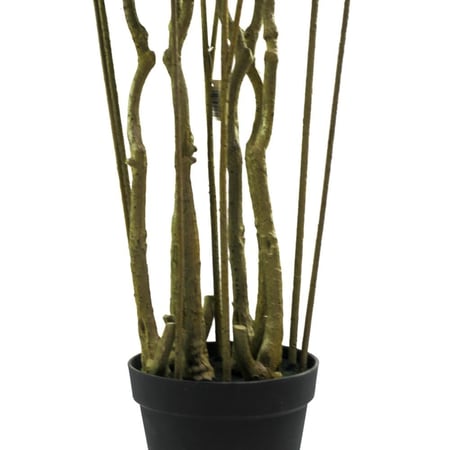 شجرة كروتون صناعية متعددة الألوان – ارتفاع 220 سم