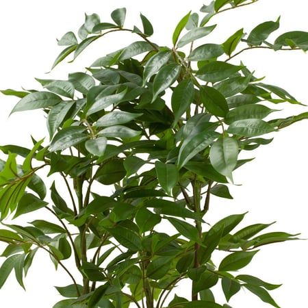 شجرة سماق صناعية – أوراق خضراء طبيعية المظهر