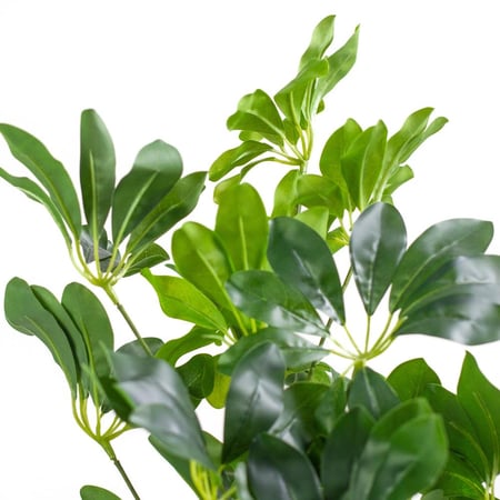 شجرة شفليرا صناعية – ارتفاع 90 سم لمسة خضراء  للديكور الداخلي