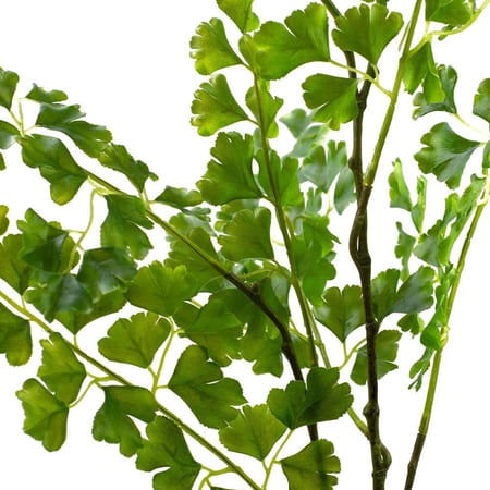 فرع نبات صناعي ألوكاسيا – أوراق خضراء، ارتفاع 107 سم – من حديقة السوسن