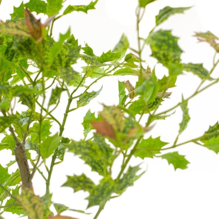 شجرة أوراق هولي صناعية – ارتفاع 46 إنش للديكور الداخلي والمنزلي