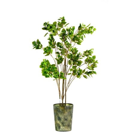 شجرة انكيانثوس صناعية – ارتفاع 180 سم، أوراق خضراء واقعية