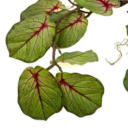 خضارات فيكوس بوميلا صناعية – أوراق خضراء بعروق حمراء 112 سم