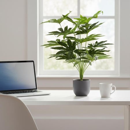 خضار باشيرا  45سم سم بدون حوض